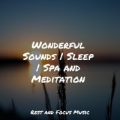 Wonderful Sounds | Sleep | Spa and Meditation