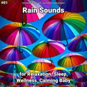 #01 Rain Sounds for Relaxation, Sleep, Wellness, Calming Baby