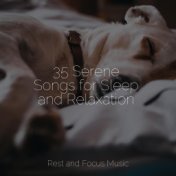 35 Serene Songs for Sleep and Relaxation