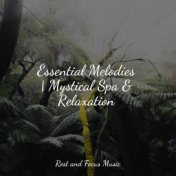 Essential Melodies | Mystical Spa & Relaxation