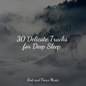 30 Delicate Tracks for Deep Sleep