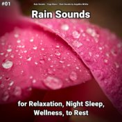 #01 Rain Sounds for Relaxation, Night Sleep, Wellness, to Rest