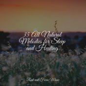 35 All Natural Melodies for Sleep and Healing