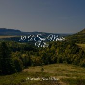 30 A Spa Music Mix