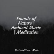 Sounds of Nature | Ambient Music | Meditation
