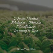 Winter Nature Melodies | Ultimate Mindfulness, Serenity & Rest