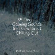 35 Deeply Calming Sounds for Relaxation & Chilling Out