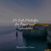 35 Soft Melodies for Peace and Relaxation