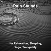 #01 Rain Sounds for Relaxation, Sleeping, Yoga, Tranquility