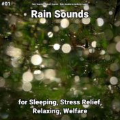 #01 Rain Sounds for Sleeping, Stress Relief, Relaxing, Welfare