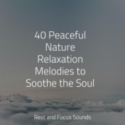 40 Peaceful Nature Relaxation Melodies to Soothe the Soul