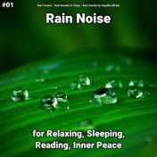 #01 Rain Noise for Relaxing, Sleeping, Reading, Inner Peace