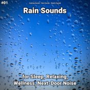 #01 Rain Sounds for Sleep, Relaxing, Wellness, Next-Door Noise
