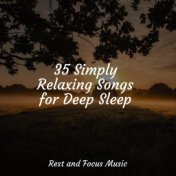 35 Simply Relaxing Songs for Deep Sleep