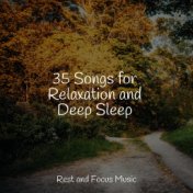 35 Songs for Relaxation and Deep Sleep