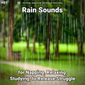 #01 Rain Sounds for Napping, Relaxing, Studying, to Release Struggle