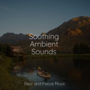 Soothing Ambient Sounds