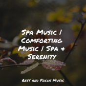 Spa Music | Comforting Music | Spa & Serenity