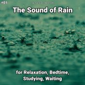#01 The Sound of Rain for Relaxation, Bedtime, Studying, Waiting