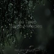 Spa Deep Sleep Melodies