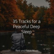 35 Tracks for a Peaceful Deep Sleep