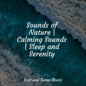 Sounds of Nature | Calming Sounds | Sleep and Serenity