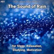 #01 The Sound of Rain for Sleep, Relaxation, Studying, Motivation
