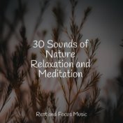 30 Sounds of Nature Relaxation and Meditation