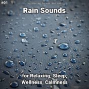 #01 Rain Sounds for Relaxing, Sleep, Wellness, Calmness