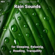 #01 Rain Sounds for Sleeping, Relaxing, Reading, Tranquility