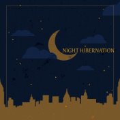Night Hibernation: Sleep All Night with Gentle Calm Sounds