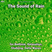 #01 The Sound of Rain for Bedtime, Relaxation, Studying, Delta Waves