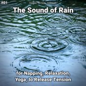 #01 The Sound of Rain for Napping, Relaxation, Yoga, to Release Tension