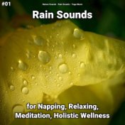 #01 Rain Sounds for Napping, Relaxing, Meditation, Holistic Wellness