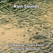 #01 Rain Sounds for Napping, Stress Relief, Relaxing, Motivation