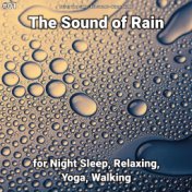 #01 The Sound of Rain for Night Sleep, Relaxing, Yoga, Walking