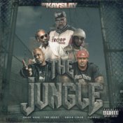 The Jungle (feat. Snoop Dogg, Too $hort, Sheek Louch & Papoose)