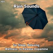 #01 Rain Sounds for Sleep, Relaxing, Wellness, to Release Dopamine