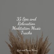 35 Spa and Relaxation Meditation Music Tracks
