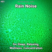 #01 Rain Noise for Sleep, Relaxing, Wellness, Concentration