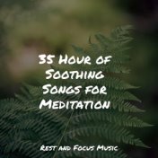 35 Hour of Soothing Songs for Meditation