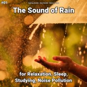 #01 The Sound of Rain for Relaxation, Sleep, Studying, Noise Pollution