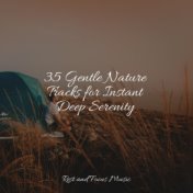 35 Gentle Nature Tracks for Instant Deep Serenity