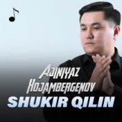 Shukir Qilin