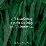 30 Comforting Tracks for Sleep and Mindfulness