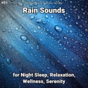 #01 Rain Sounds for Night Sleep, Relaxation, Wellness, Serenity