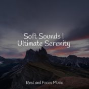 Soft Sounds | Ultimate Serenity