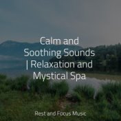 Calm and Soothing Sounds | Relaxation and Mystical Spa