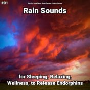 #01 Rain Sounds for Sleeping, Relaxing, Wellness, to Release Endorphins