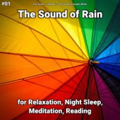 #01 The Sound of Rain for Relaxation, Night Sleep, Meditation, Reading